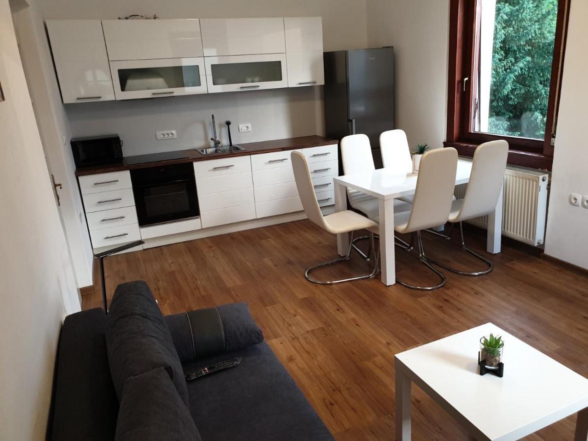 Huge Bbq Garden 2, Spacious Flat, Ac, Free Parking 2 Liubliana Exterior foto