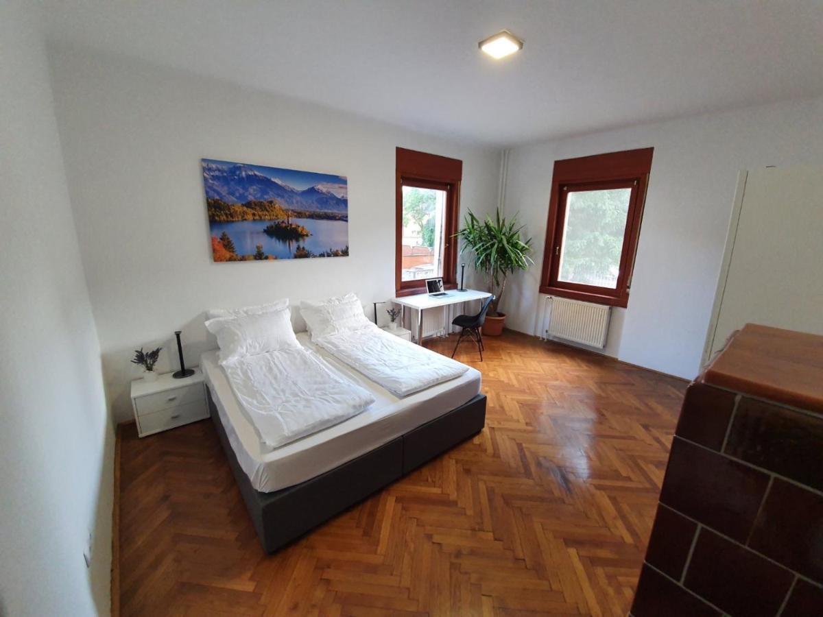 Huge Bbq Garden 2, Spacious Flat, Ac, Free Parking 2 Liubliana Exterior foto