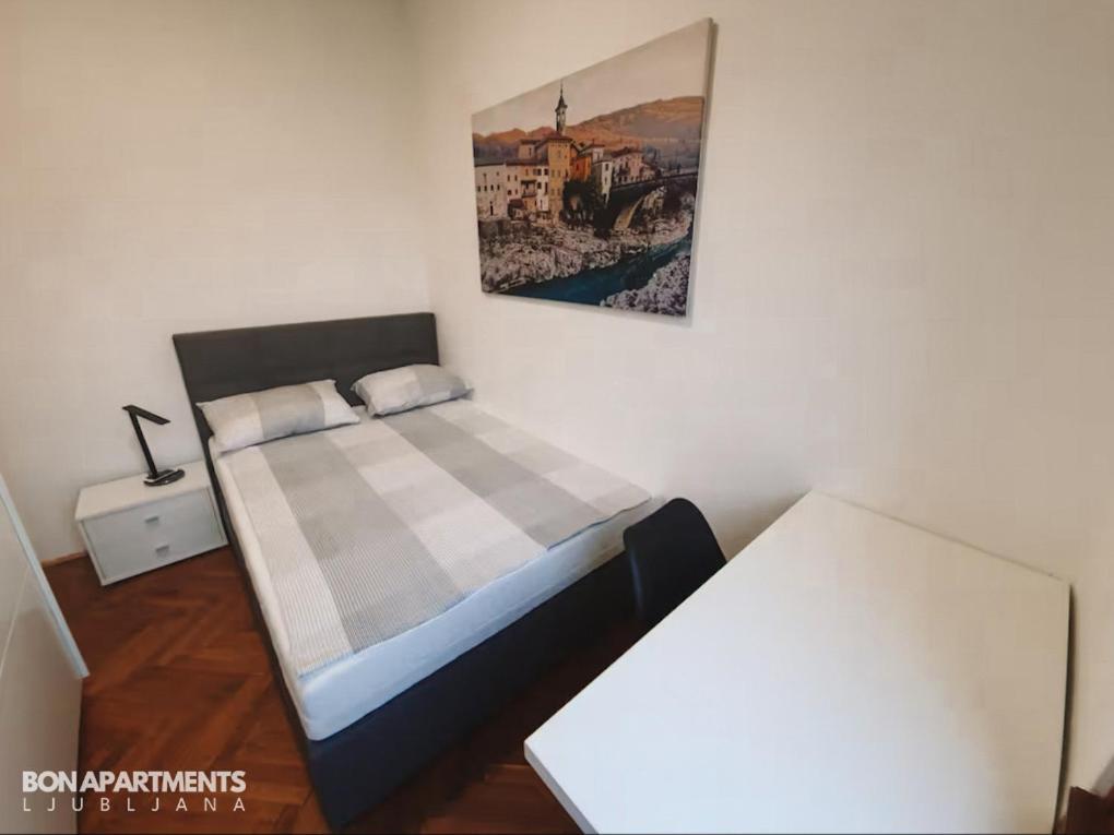 Huge Bbq Garden 2, Spacious Flat, Ac, Free Parking 2 Liubliana Exterior foto