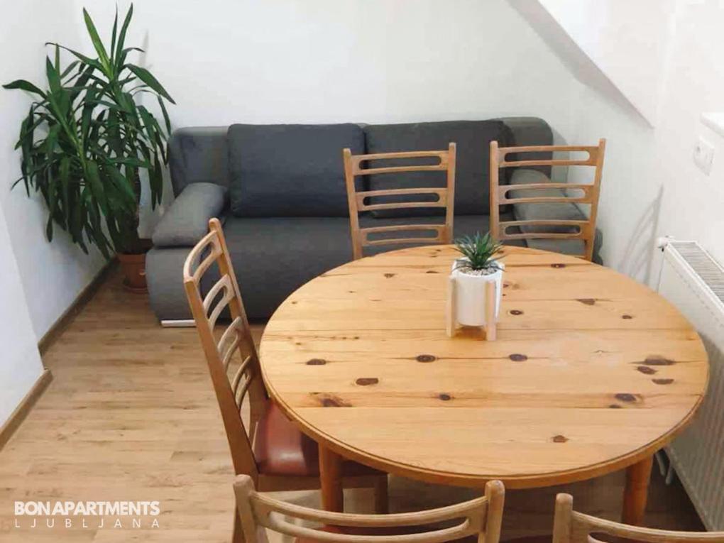 Huge Bbq Garden 2, Spacious Flat, Ac, Free Parking 2 Liubliana Exterior foto